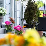 Nova